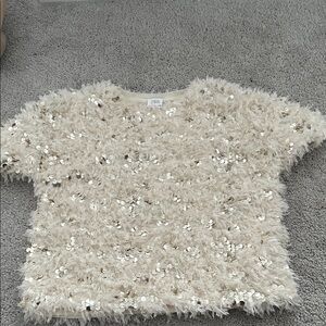 Zara Ivory Sequin Textured Top